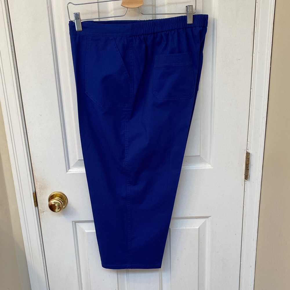 Blue Elastic Waist Capris